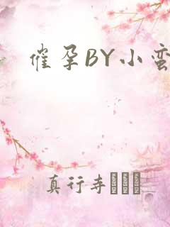 催孕BY小蛮腰
