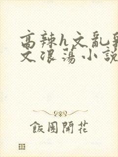 高辣h文乱乳h文浪荡小说苏媚