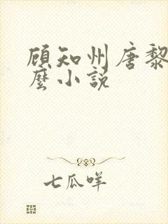 顾知州唐黎叫什么小说