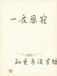 一夜恩宠