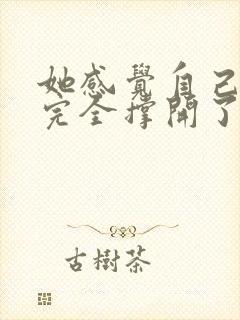 她感觉自己被他完全撑开了