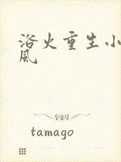 浴火重生小说陈风