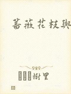 蔷薇花枝与灰烬