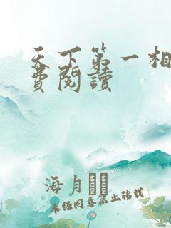 天下第一相书免费阅读