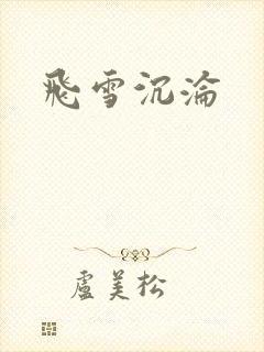 飞雪沉沦