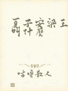 夏子安梁王书名叫什么