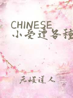 CHINESE小受遭各种打桩