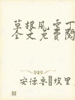 草根风云丁长生全文免费阅读