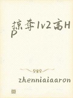 掠夺1v2高HP