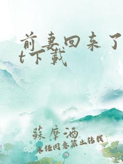 前妻回来了txt下载