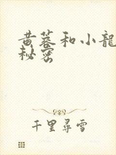 黄蓉和小龙女的秘密