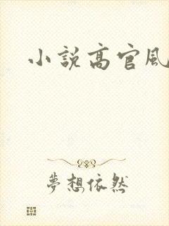 小说高官风流