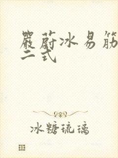 严蔚冰易筋经十二式