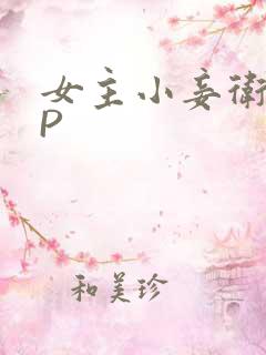 女主小妾卫府NP