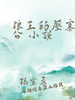 狼王的压寨小相公 小说