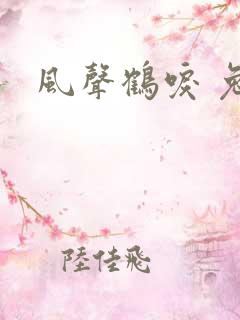 风声鹤唳 兔佬