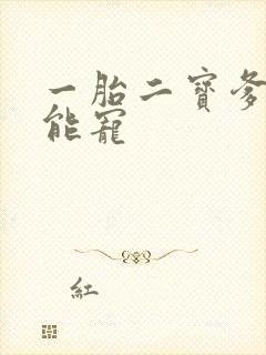 一胎二宝爹地超能宠