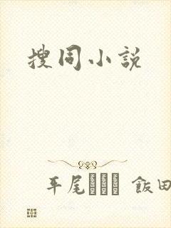 搜同小说