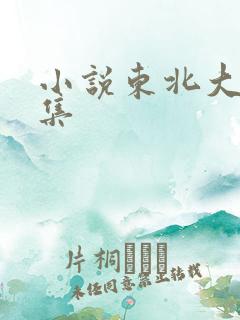 小说东北大炕全集