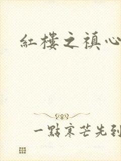 红楼之禛心锁玉