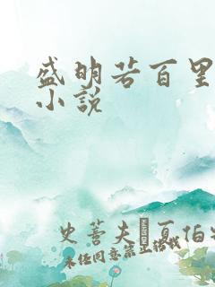 盛明若百里轻尘小说