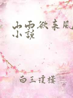 山雨欲来风满楼小说