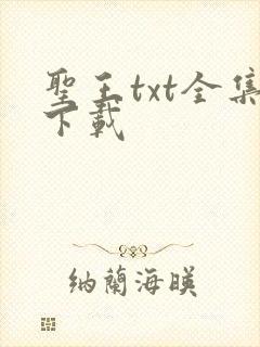 圣王txt全集下载