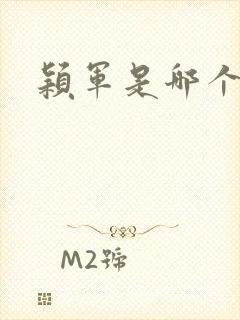 颖军是哪个军阀