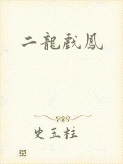 二龙戏凤