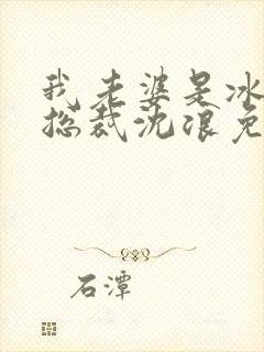 我老婆是冰山女总裁沈浪免费阅读