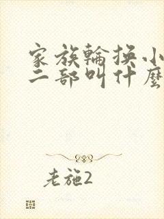 家族轮换小说第二部叫什么名字