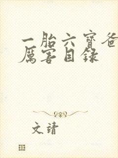 一胎六宝爸比好厉害目录