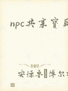 npc共享宝贝