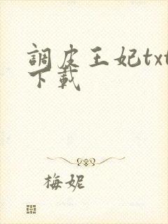 调皮王妃txt下载