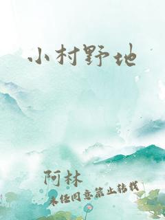 小村野地
