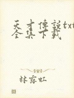 天才传说txt全集下载