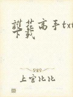 护花高手txt下载