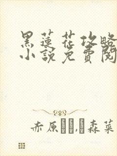 黑莲花攻略手册小说免费阅读