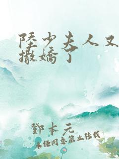 陆少夫人又双叒撒娇了