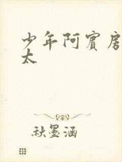 少年阿宾房东太太