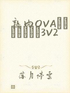 熟肉OVAちゃんはしたい3V2