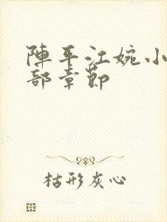 阵平江婉小说全部章节