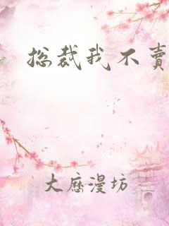 总裁我不卖宝宝