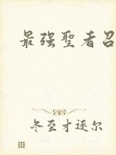 最强圣者召唤