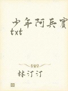 少年阿兵宾小说txt
