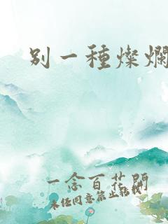 别一种灿烂生活