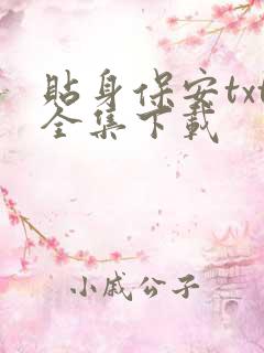 贴身保安txt全集下载