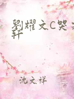 刘耀文C哭宋亚轩