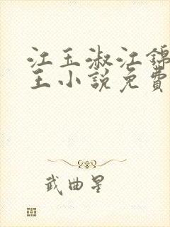 江玉淑江锦心睿王小说免费阅读