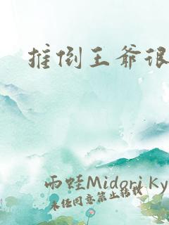 推倒王爷很重要